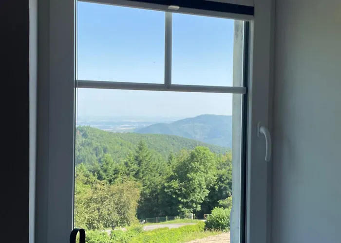 Openroc - Vue Imprenable Sur Colmar 아파트 *